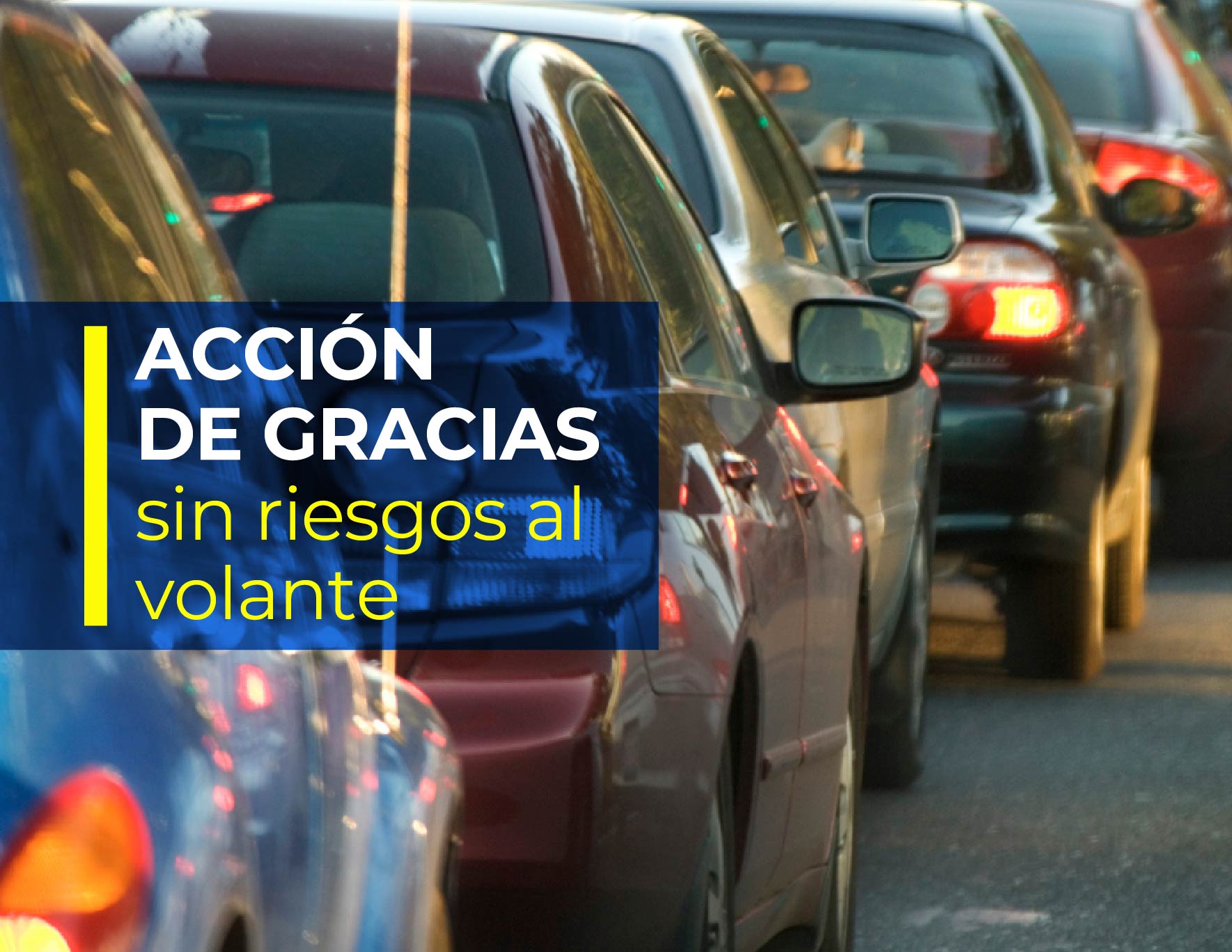 Acción de Gracias sin riesgos al volante