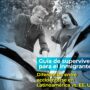 Guía de supervivencia para el inmigrante: Diferencias entre accidentarse en Latinoamérica vs. EE. UU.